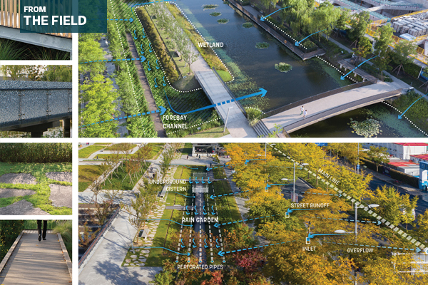 <a href="https://thefield.asla.org/2023/02/09/championing-climate-positive-design/">倡导气候积极设计</a>