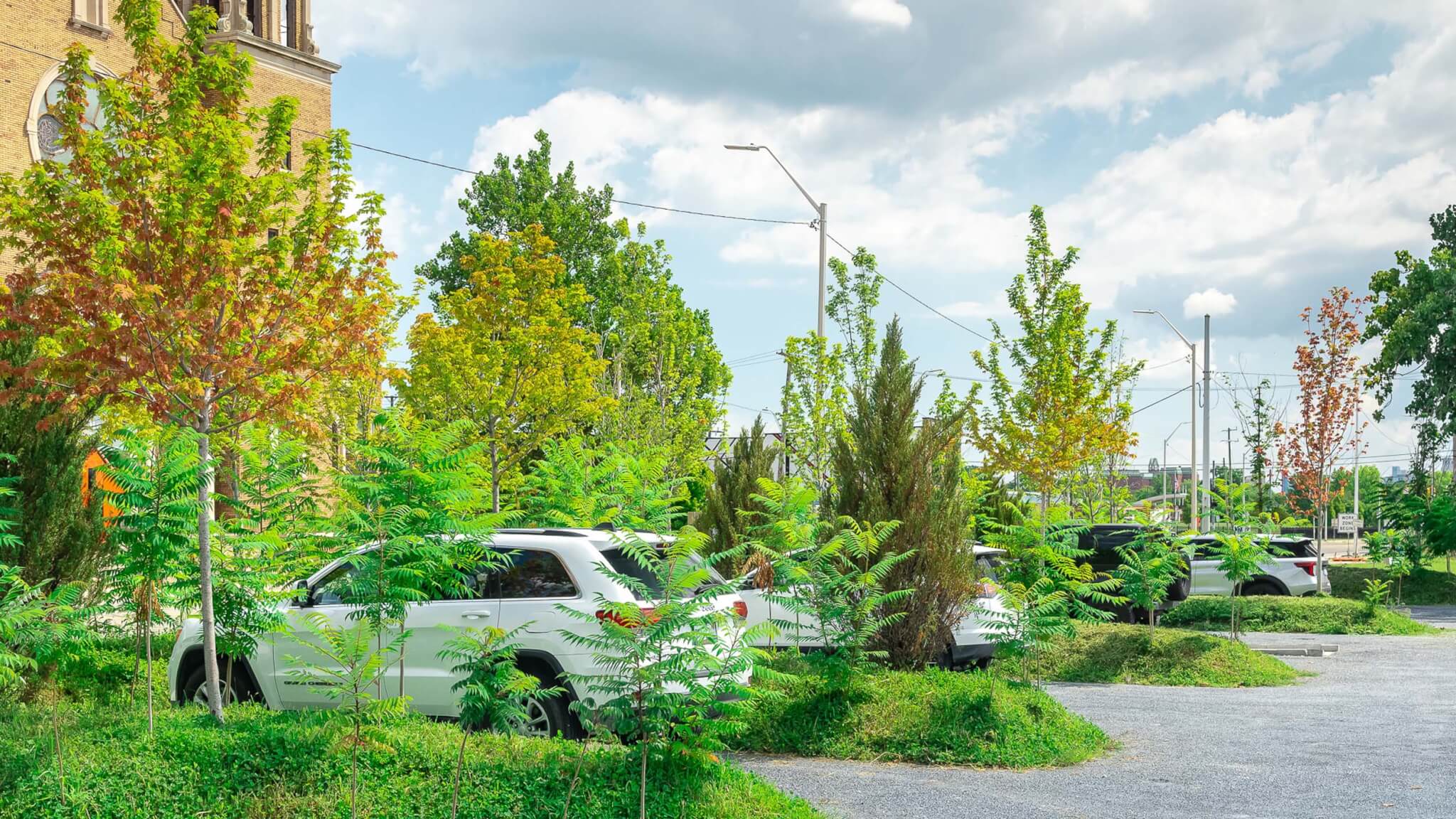 Julie Bargmann 用专为 Prince Concepts 设计的 PARK（ing） 拥抱底特律的城市荒野