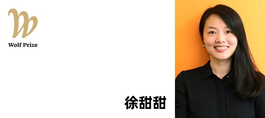 2025年，中国建筑师杀疯了！